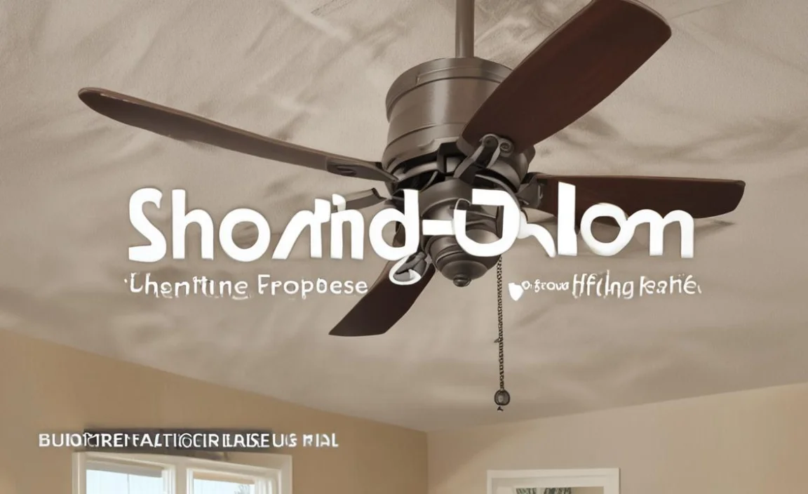 Should Ceiling Fans Be Left On All The Time? Find Out!