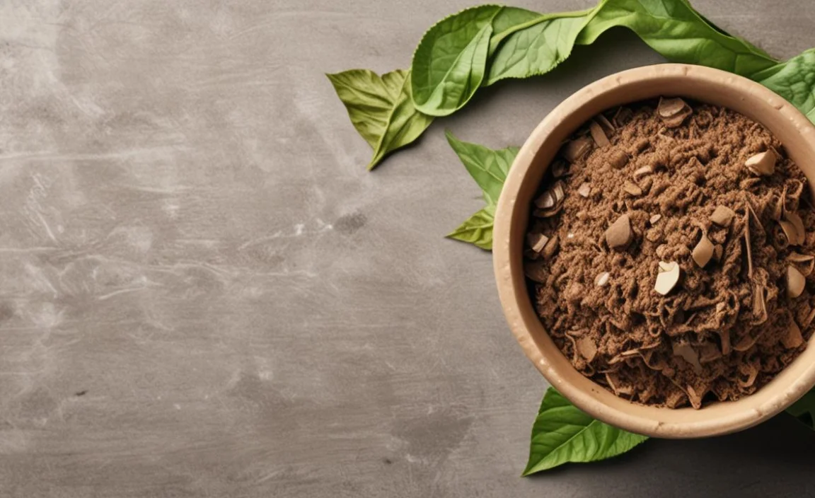What Are Compostable Products